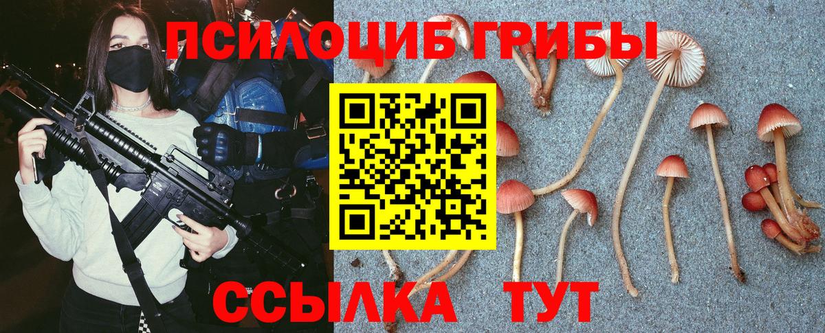 Галлюциногенные грибы GOLDEN TEACHER Вольск