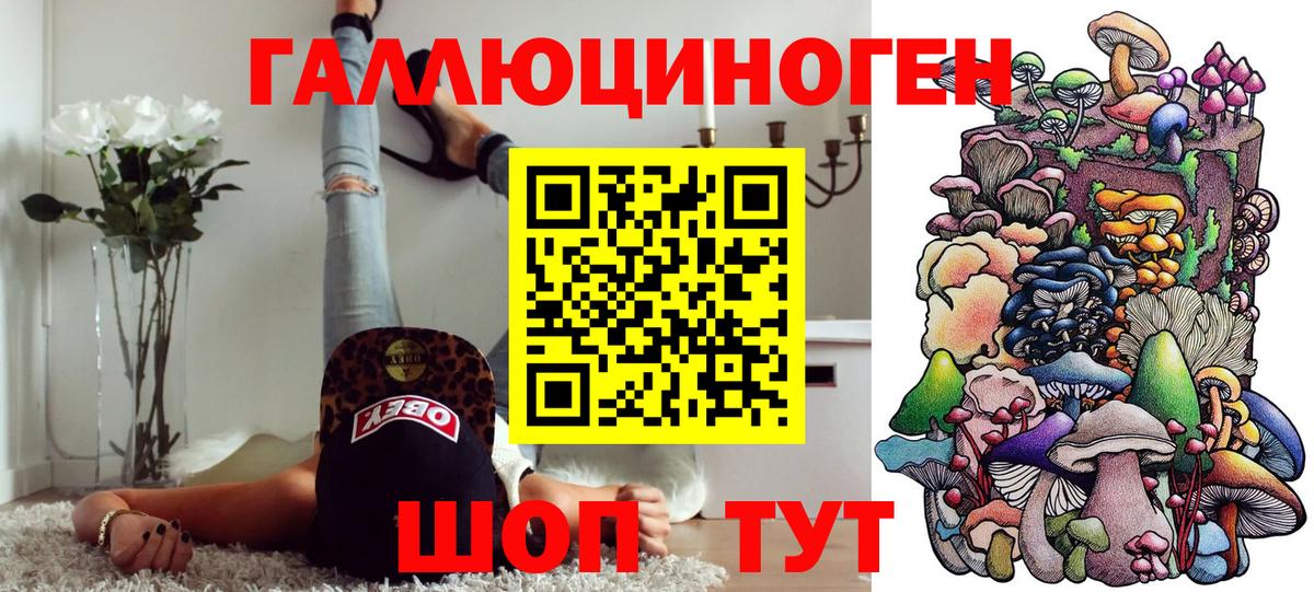Вольск  Псилоцибиновые грибы прущие грибы  Вход с VPN 